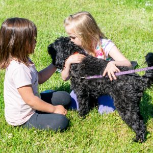 kids hugging dog